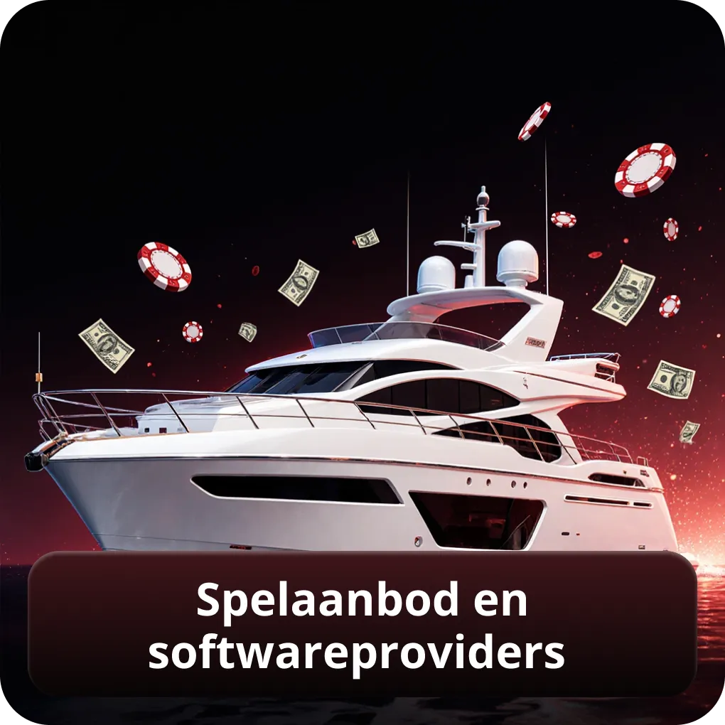 Spelaanbod en softwareproviders